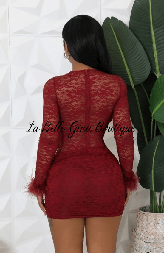 Gina Stretch Around Neck Long Sleeve Feather Elegant Birthday Party Special Occasion Party Holidays Date  nigh Dresses-Burgundy