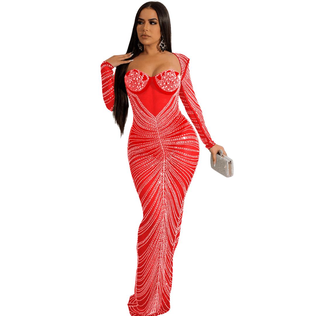 Nelle mesh maxi dress long sleeve-FINAL SALE