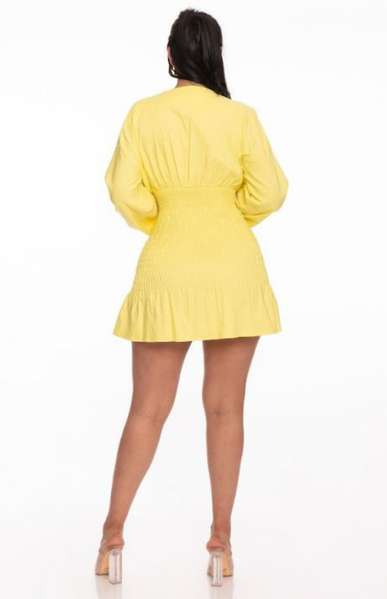 Mirtha Rushed V-Neckline Long Puff Sleeves Mini Dress