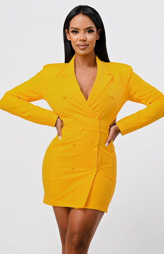 Lisa Blazer Long sleeves Cut Out and back Tie Mini Dress