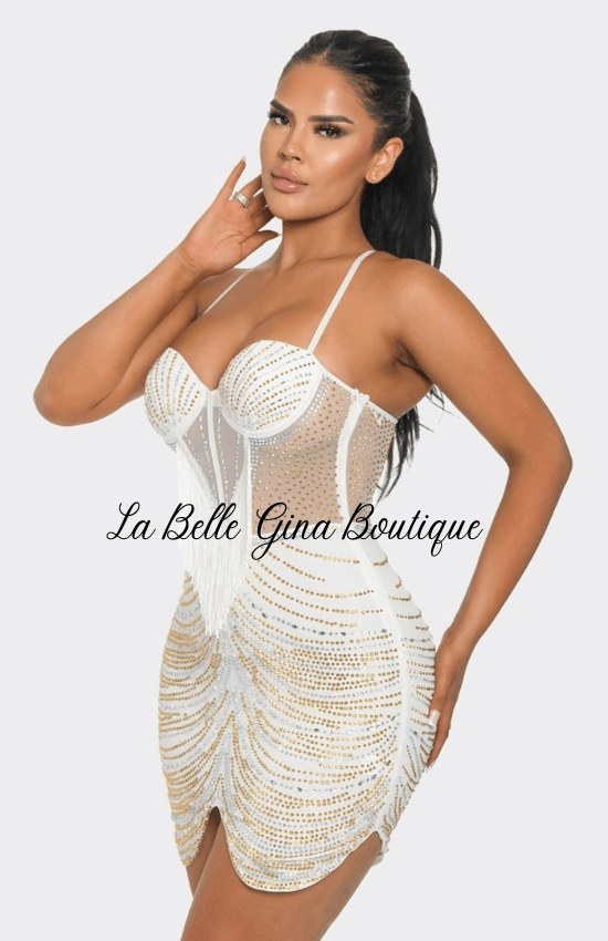 Adriana Rhinestone Mesh Bodycon Dress - La Belle Gina Boutique