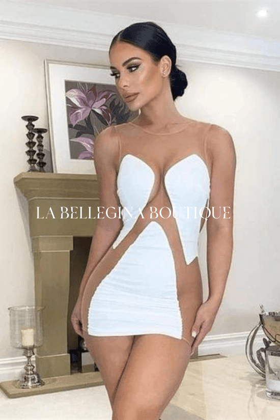 MYA sleeveless mesh dress - La Belle Gina Boutique