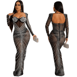 Nelle mesh maxi dress long sleeve black - La Belle Gina Boutique