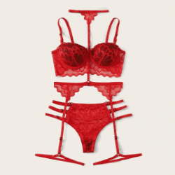 Sara Three-piece cup push up bra lingerie-red - La Belle Gina Boutique