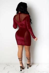 SEXY mesh patchwork velvet mini dress - La Belle Gina Boutique