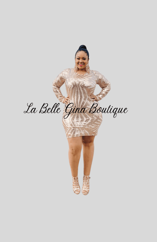 Sofia long sleeves round neck bodycon dress - La Belle Gina Boutique